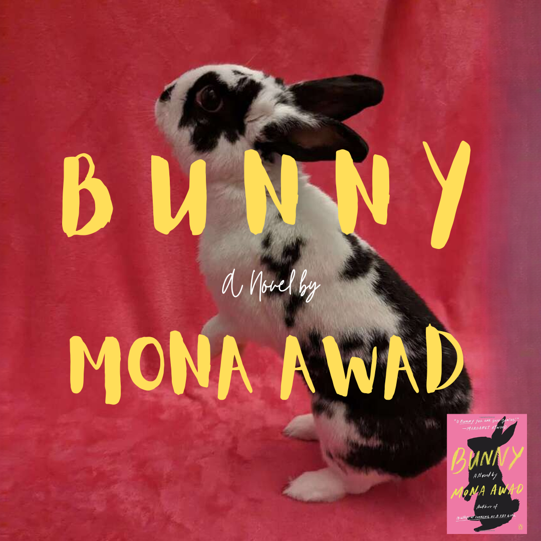 Bunny poster for book
