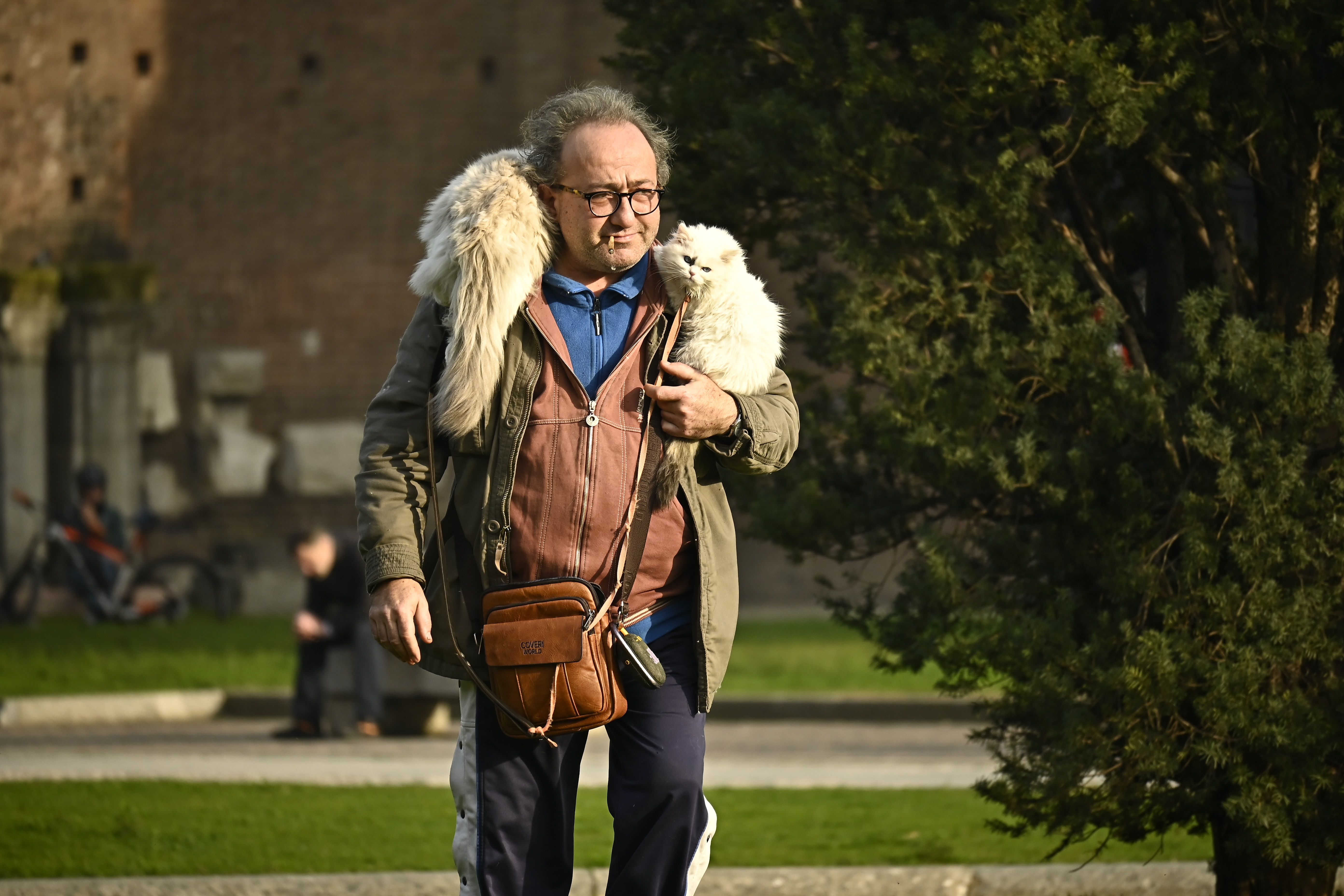 Scholarship photo: cat man 1