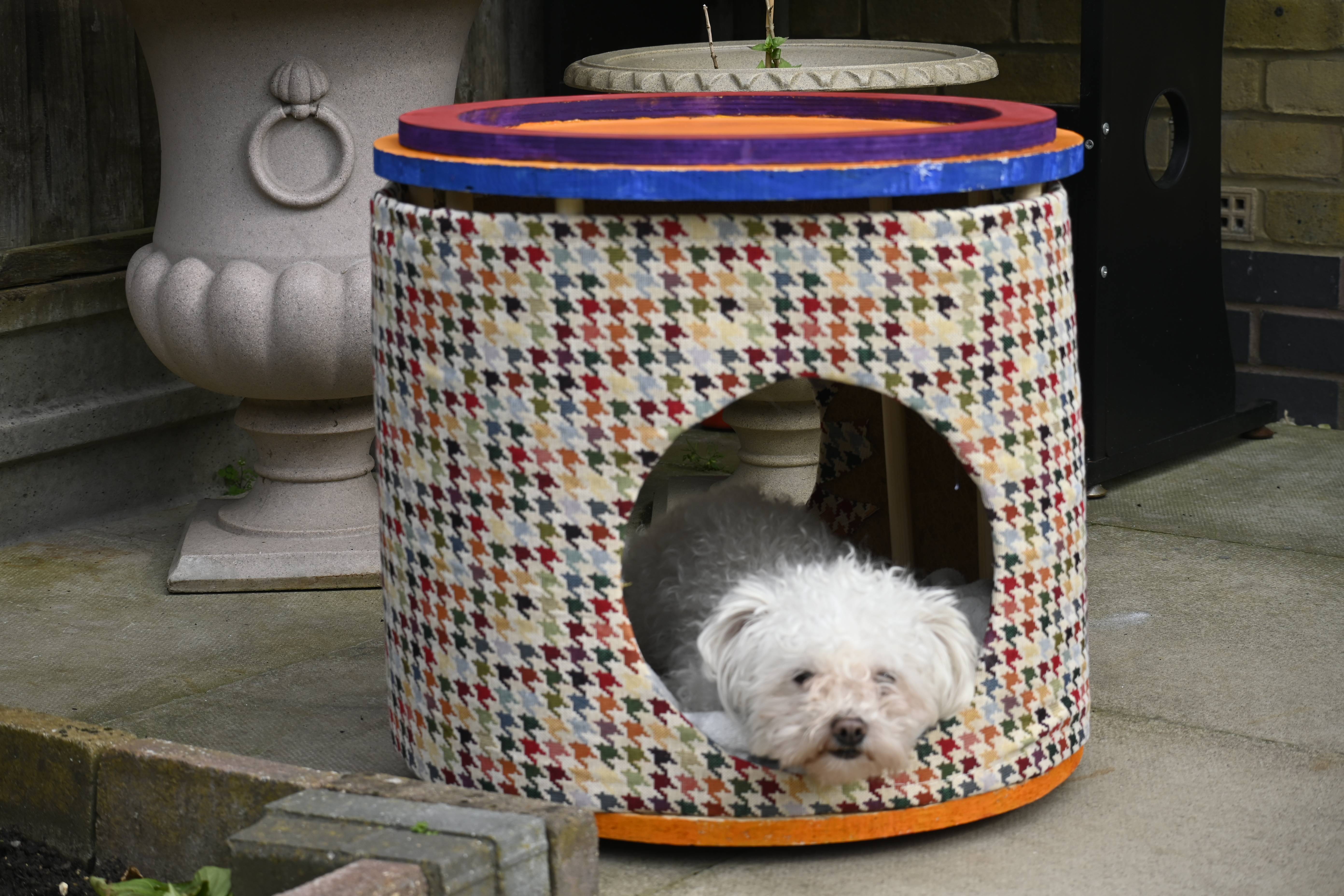 Image of a doghouse