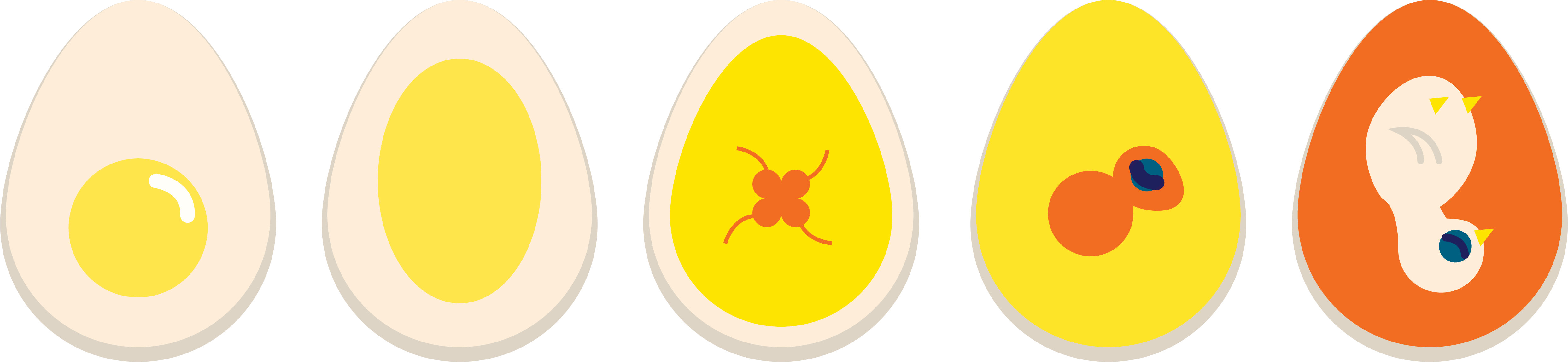 Assorted egg graphics