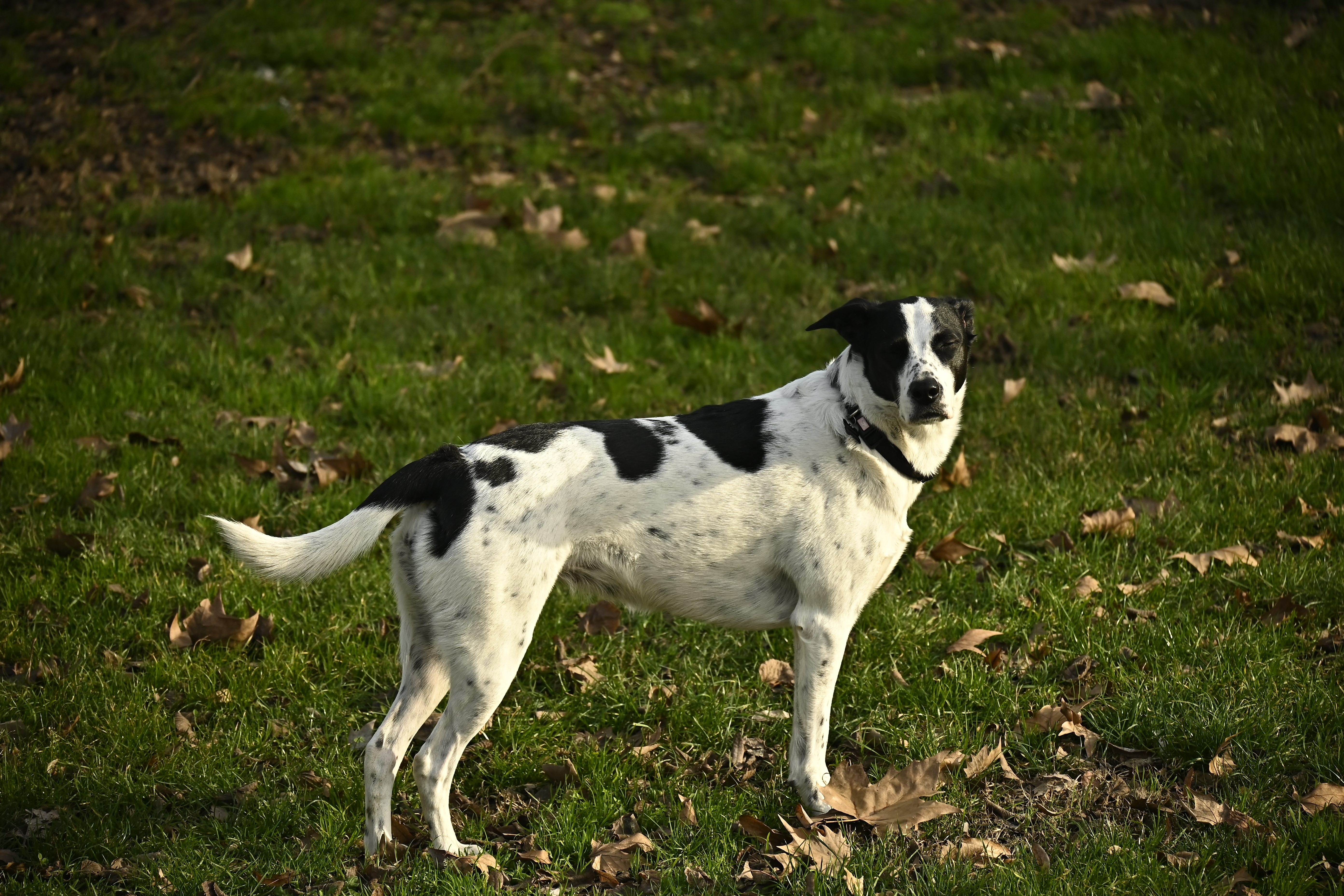 Scholarship photo: sheila